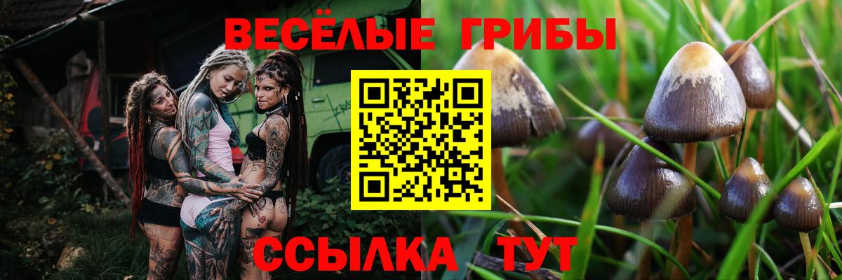 Тула  Псилоцибиновые грибы Cubensis  Галлюциногенные грибы ЛСД  Вход с VPN 